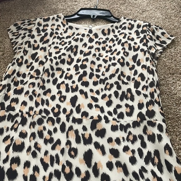 LOFT Dress - Picture 6 of 6